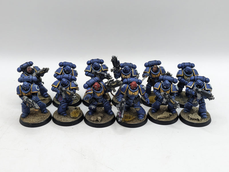 Warhammer 40k: Space Marine Ultramarines Intercessors - Well Painted (BC043)