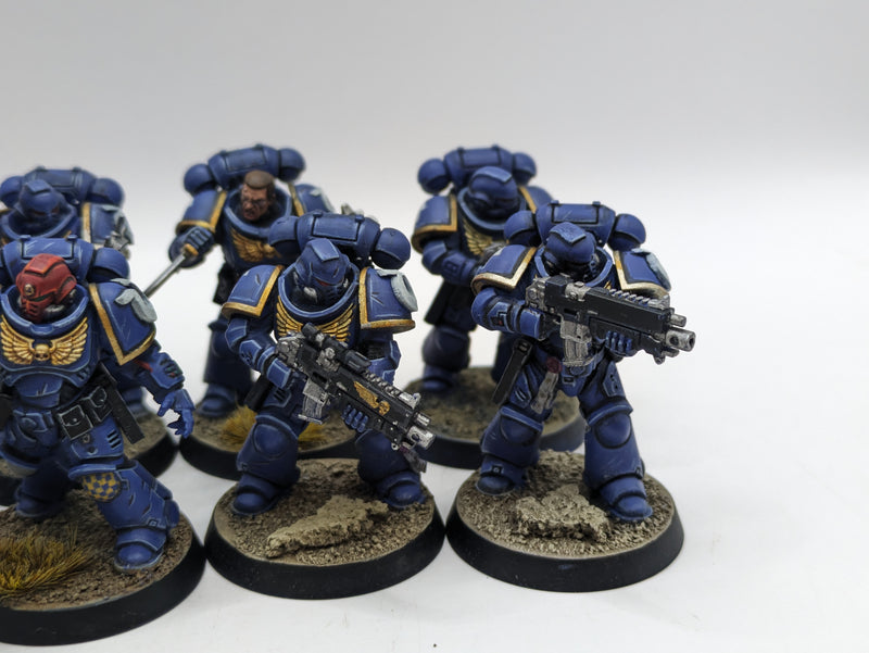 Warhammer 40k: Space Marine Ultramarines Intercessors - Well Painted (BC043)