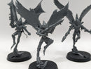 Warhammer 40k: Drukhari Scourges (AK010)