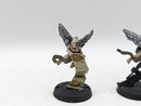 Warhammer 40k: Agents of the Imperium Inquisitor Henchman Cherub Familiars (AJ129)