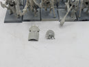 Warhammer The Old World: Tomb Kings Tomb Guard (BA174)