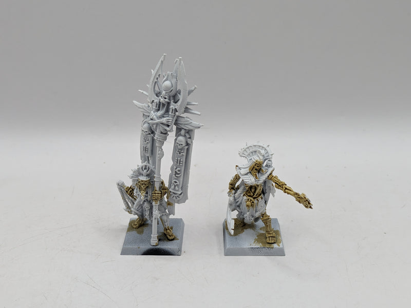 Warhammer The Old World: Tomb Kings Tomb King and Battle Standard Bearer (AI050)