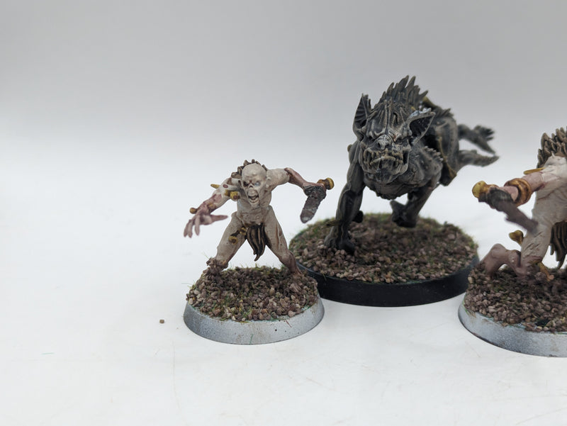 Warhammer Age of Sigmar: Warcry Flesh-Eater Courts Royal Beastflayers (AH111)