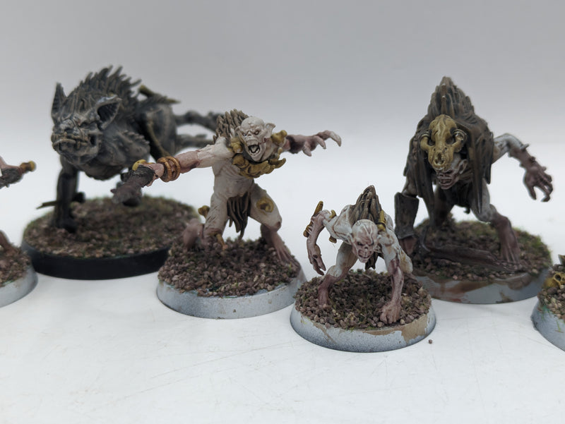 Warhammer Age of Sigmar: Warcry Flesh-Eater Courts Royal Beastflayers (AH111)