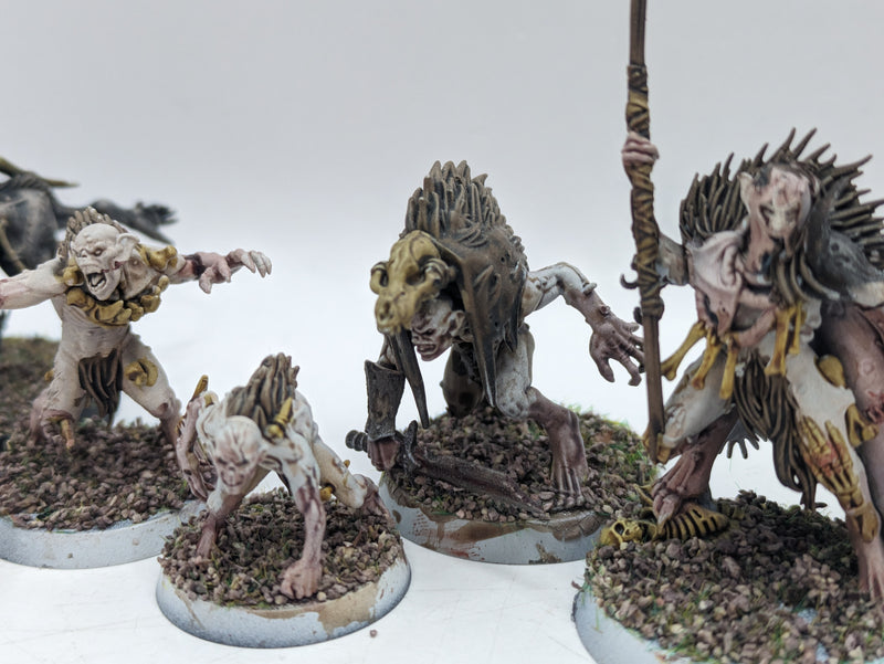 Warhammer Age of Sigmar: Warcry Flesh-Eater Courts Royal Beastflayers (AH111)