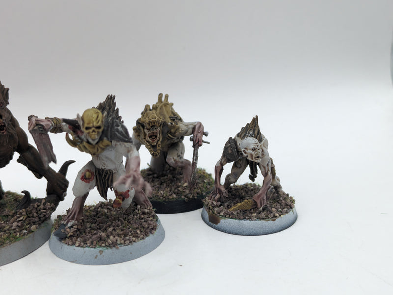 Warhammer Age of Sigmar: Warcry Flesh-Eater Courts Royal Beastflayers (AH111)