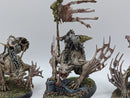 Warhammer Age of Sigmar: Flesh-Eater Courts Morbheg Knights (AH108)
