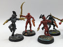 Warhammer 40k: Aeldari Harlequin Troupe (AI237)