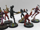 Warhammer 40k: Aeldari Harlequin Troupe (AI237)