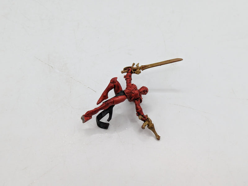 Warhammer 40k: Aeldari Harlequin Troupe (AI237)