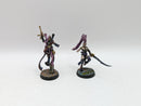 Warhammer 40k: Aeldari Harlequin Shadowseer and Converted Troupe Master (AI236)