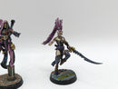 Warhammer 40k: Aeldari Harlequin Shadowseer and Converted Troupe Master (AI236)