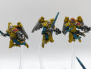 Warhammer 40k: Adepta Sororitas Seraphim Squad (AI217)