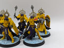 Warhammer 40k: Adepta Sororitas Celestian Sacresants (AI207)