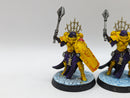 Warhammer 40k: Adepta Sororitas Celestian Sacresants (AI207)