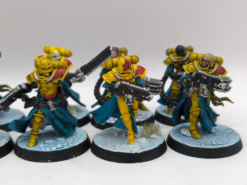 Warhammer 40k: Adepta Sororitas Battle Sisters Squad (AI142)