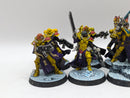Warhammer 40k: Adepta Sororitas Battle Sisters Squad (AI143)