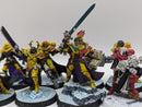 Warhammer 40k: Adepta Sororitas Battle Sisters Squad (AI143)