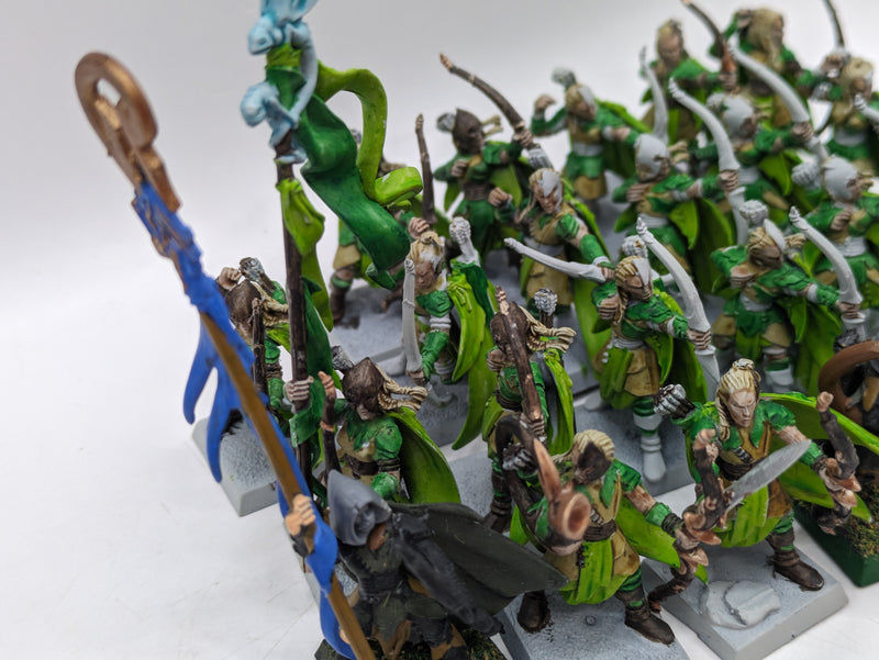 Warhammer The Old World: Wood Elves x23 Glade Guard (AI169)