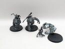 Warhammer 40k: T'au Empire Krootox Rampagers (AI194)