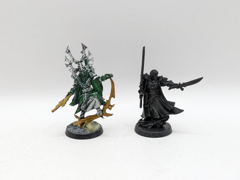 Warhammer 40k: Aeldari Metal Bonesinger and Farseer (AI147)