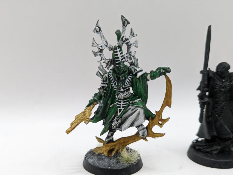 Warhammer 40k: Aeldari Metal Bonesinger and Farseer (AI147)