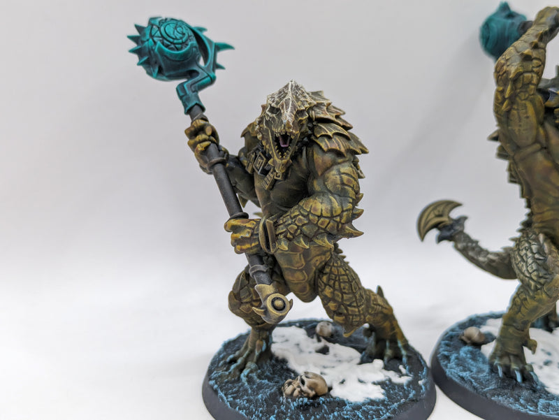 Warhammer Age of Sigmar: Seraphon Saurus Kroxigors (AH107)