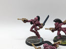 Warhammer 40k: Aeldari Rogue Trader Metal Harlequins (AI230)