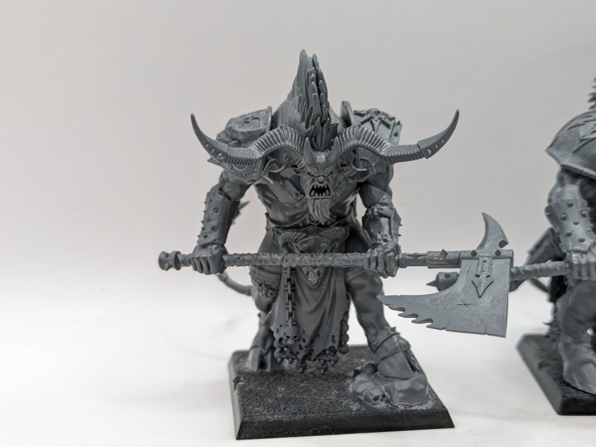 Warhammer Age of Sigmar: Slaves to Darkness Ogroid Theridons