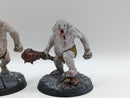 Lord of the Rings: Middle Earth Strategy Battle Game Azog's Legion Gundabad Ogres (AT081)