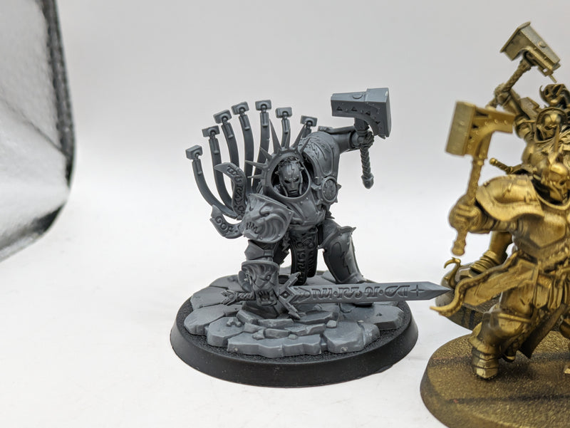 Warhammer Age of Sigmar: Stormcast Eternals Liberators and Gardus Steel Soul (AW077)