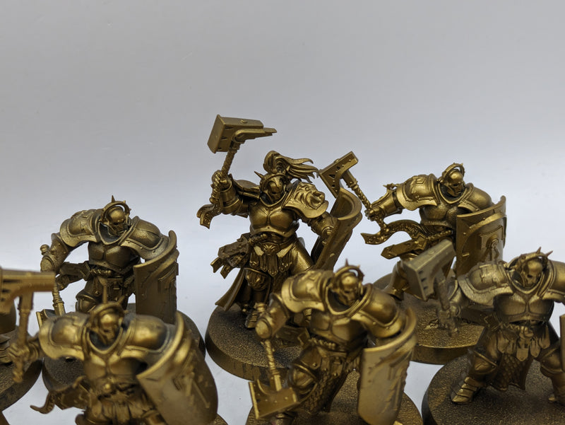 Warhammer Age of Sigmar: Stormcast Eternals Liberators and Gardus Steel Soul (AW077)