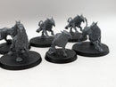Warhammer Age of Sigmar: Stormcast Eternals Gryph-Hounds (AC027)