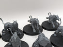 Warhammer Age of Sigmar: Stormcast Eternals Gryph-Hounds (AC027)