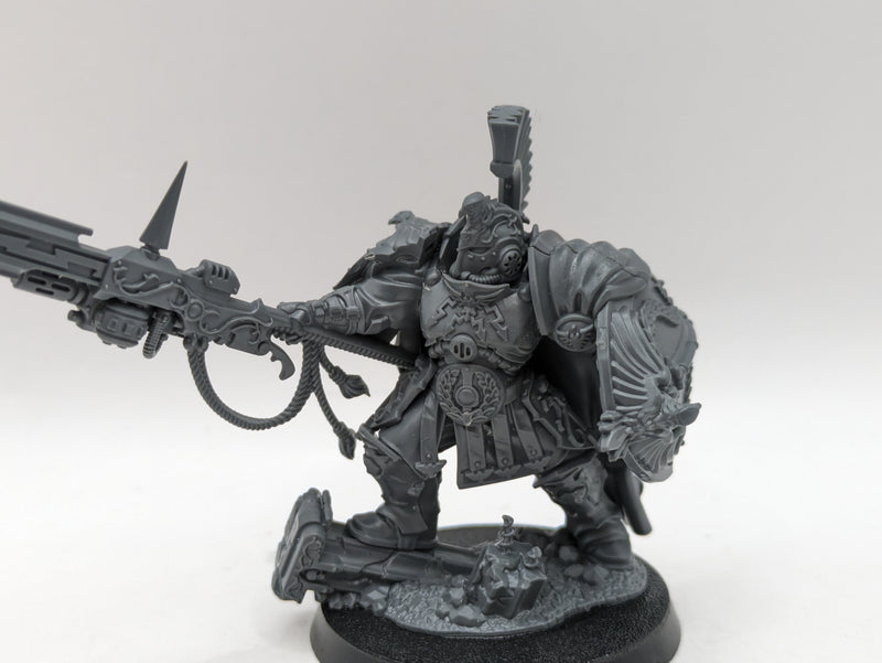 Warhammer 40k: Adeptus Custodes Shield Captain with Pyrithite Spear (AZ163)