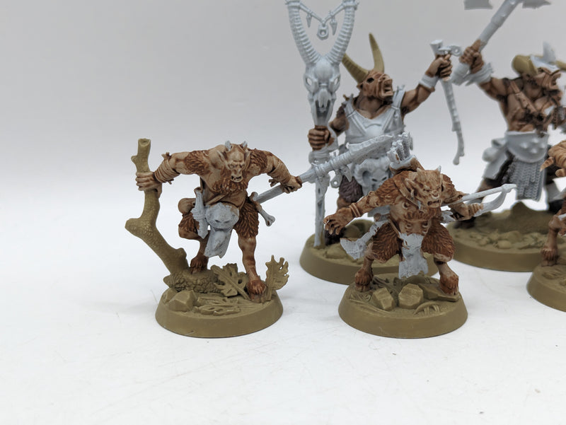 Warhammer The Old World: Beastmen Grashrak's Despoilersl (AT144)