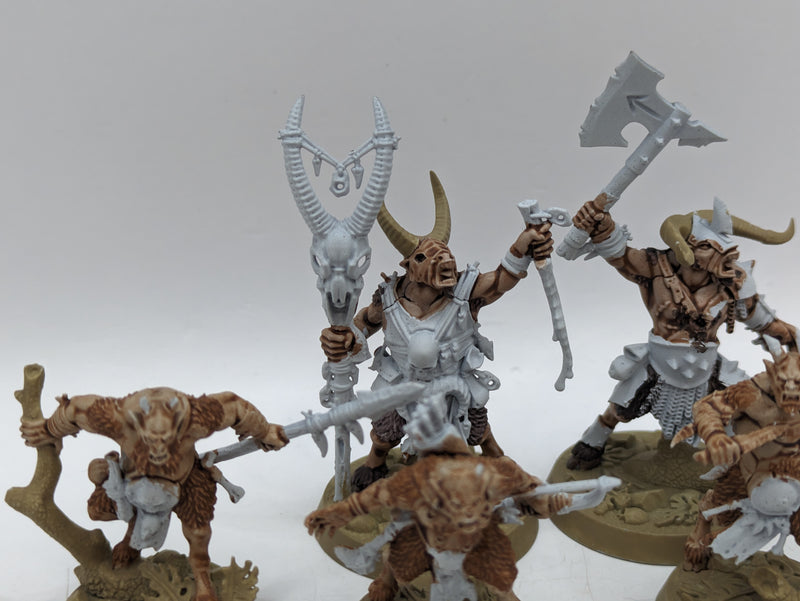 Warhammer The Old World: Beastmen Grashrak's Despoilersl (AT144)