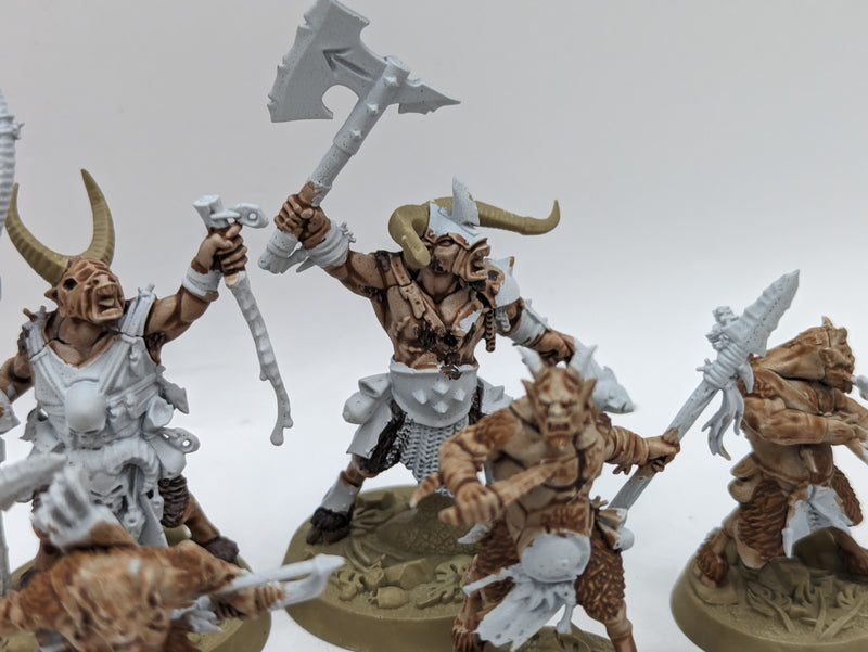 Warhammer The Old World: Beastmen Grashrak's Despoilersl (AT144)