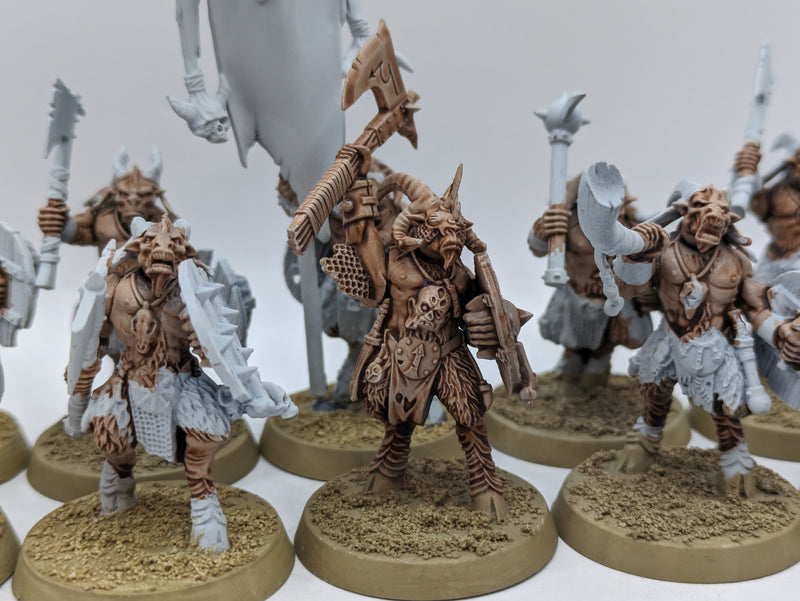 Warhammer The Old World: Beastmen Gors (AI271)