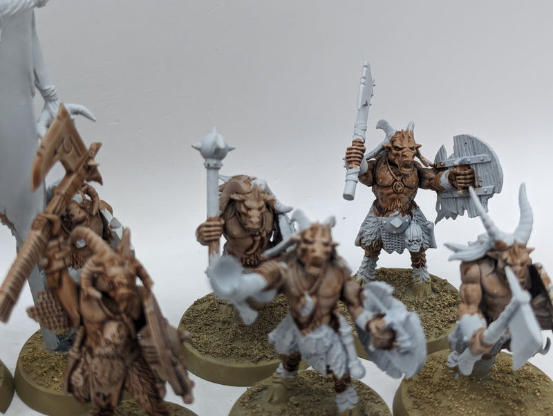 Warhammer The Old World: Beastmen Gors (AI271)