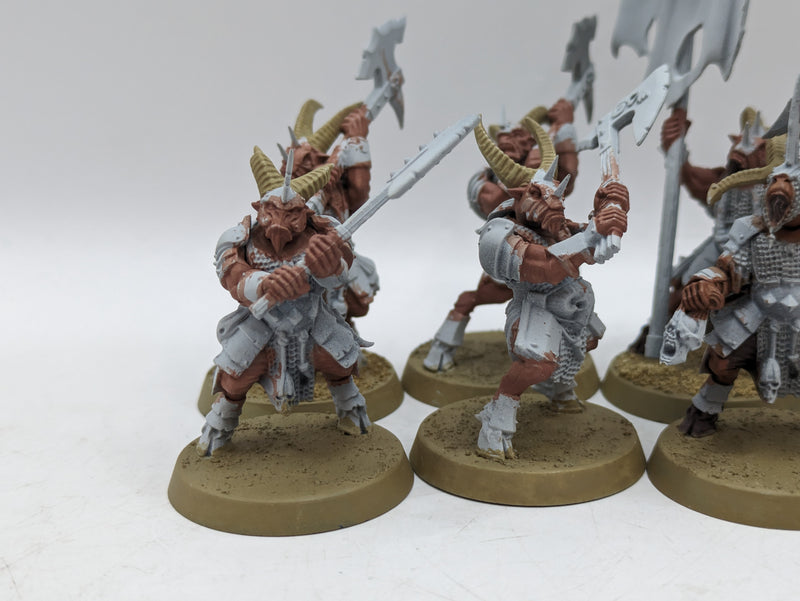 Warhammer The Old World: Beastmen Bestigors (AH052)