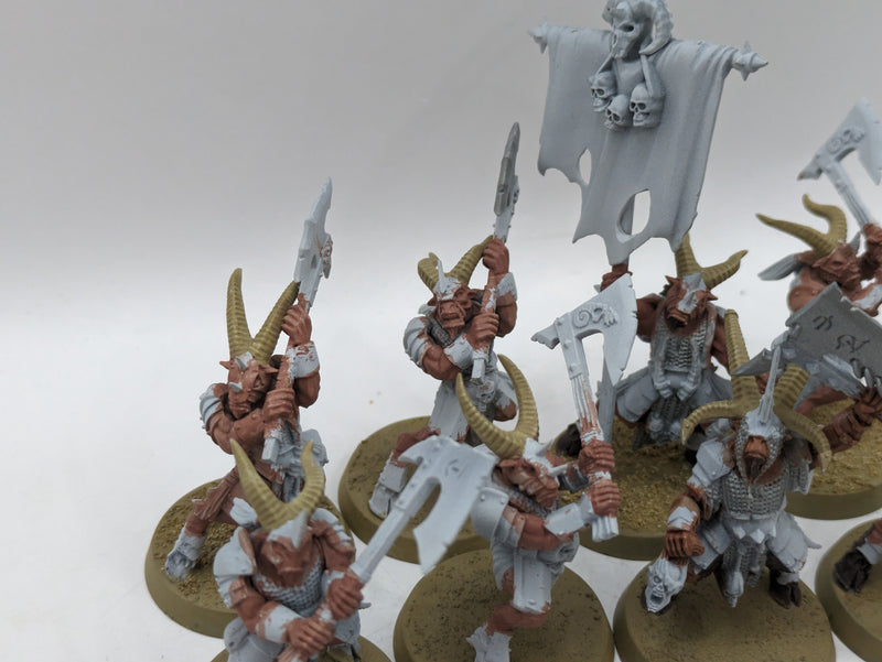 Warhammer The Old World: Beastmen Bestigors (AH052)