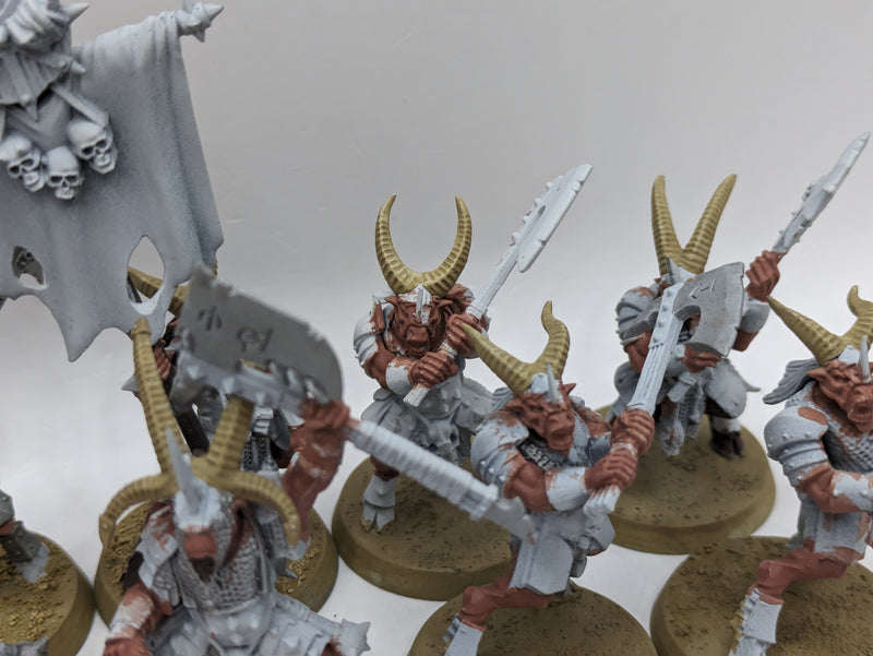 Warhammer The Old World: Beastmen Bestigors (AI173)