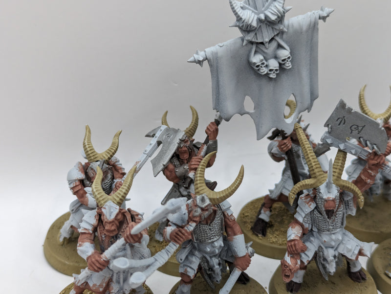 Warhammer The Old World: Beastmen Bestigors (AI173)