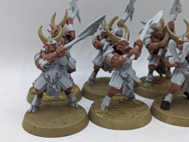 Warhammer The Old World: Beastmen Bestigors (AF089)