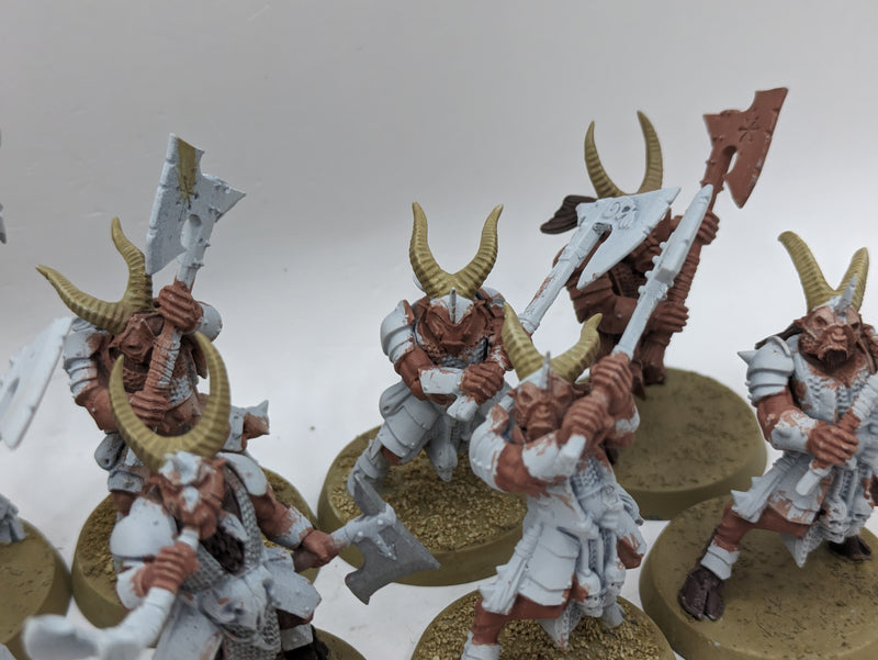 Warhammer The Old World: Beastmen Bestigors (AF089)