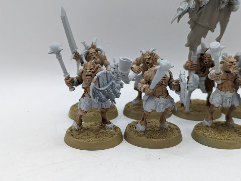 Warhammer The Old World: Beastmen Ungors (AF018)