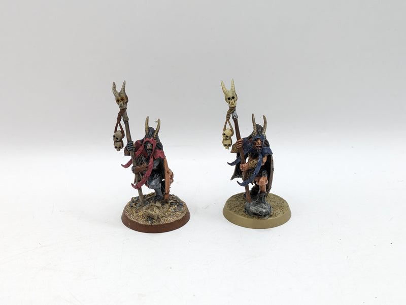 Warhammer The Old World: Beastmen Bray Shaman (AT249)