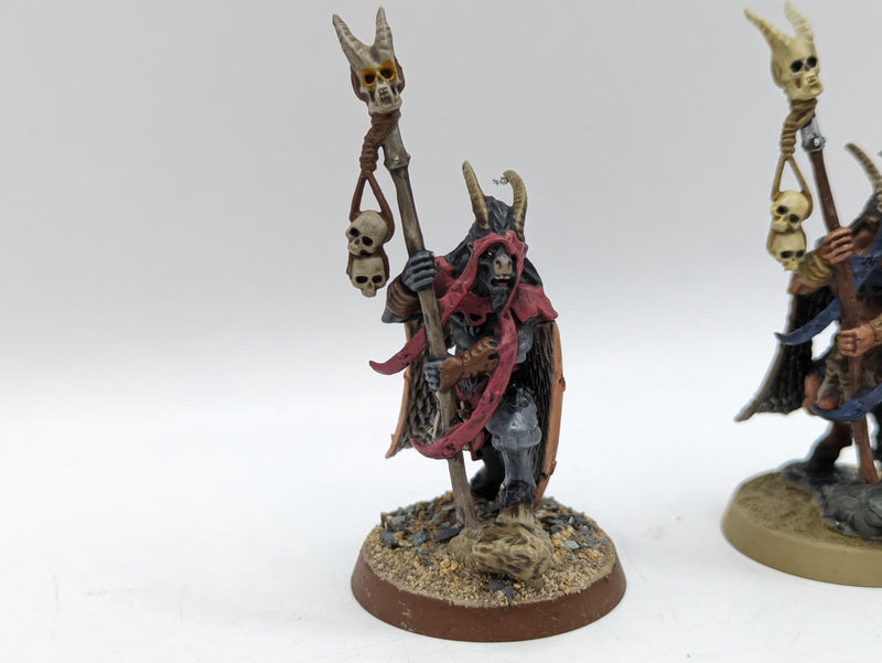 Warhammer The Old World: Beastmen Bray Shaman (AT249)