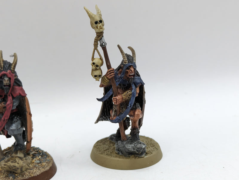 Warhammer The Old World: Beastmen Bray Shaman (AT249)